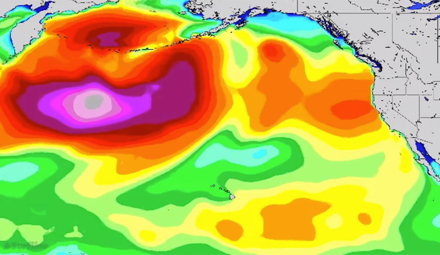 Jaws Challenge big wave surfing