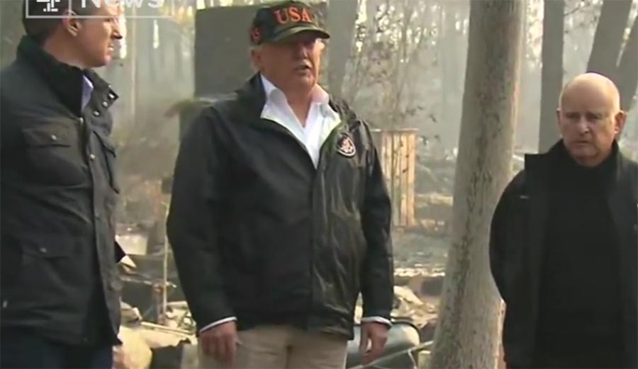 rake, forest fires, wildfires, President Trump,