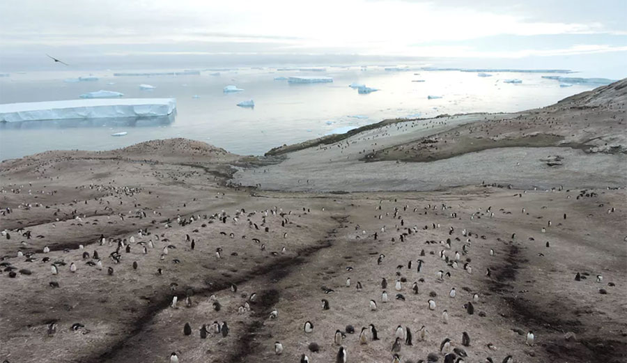 Antarctica