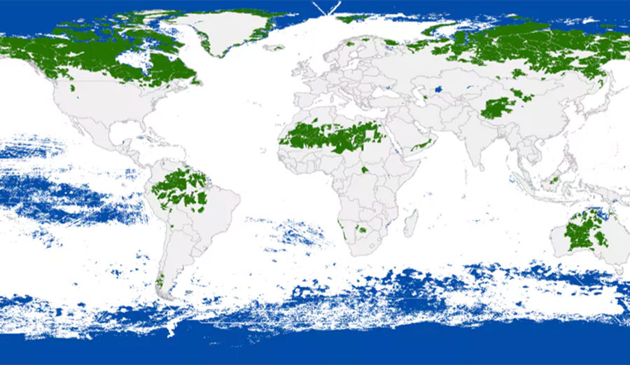 Earth's Wilderness