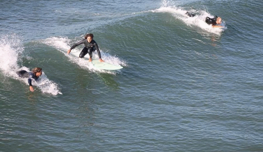 Local surf school owner pulls surfers leash at Venice Pier. Sequence: Rhonda Harper