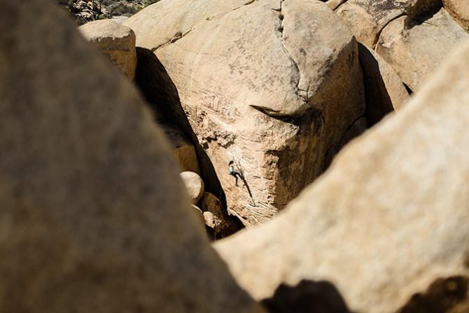 Joshua Tree and other National Parks should be shut down to protect them during government shutdown.