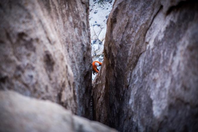 Joshua Tree is under serious presure during the government shutdown.