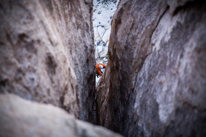 Joshua Tree is under serious presure during the government shutdown.