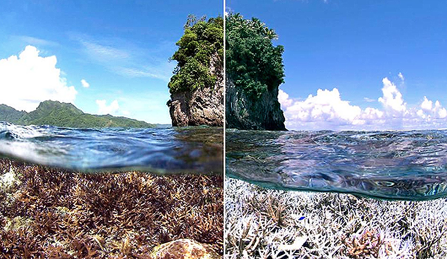 Climate Change 10 year challenge