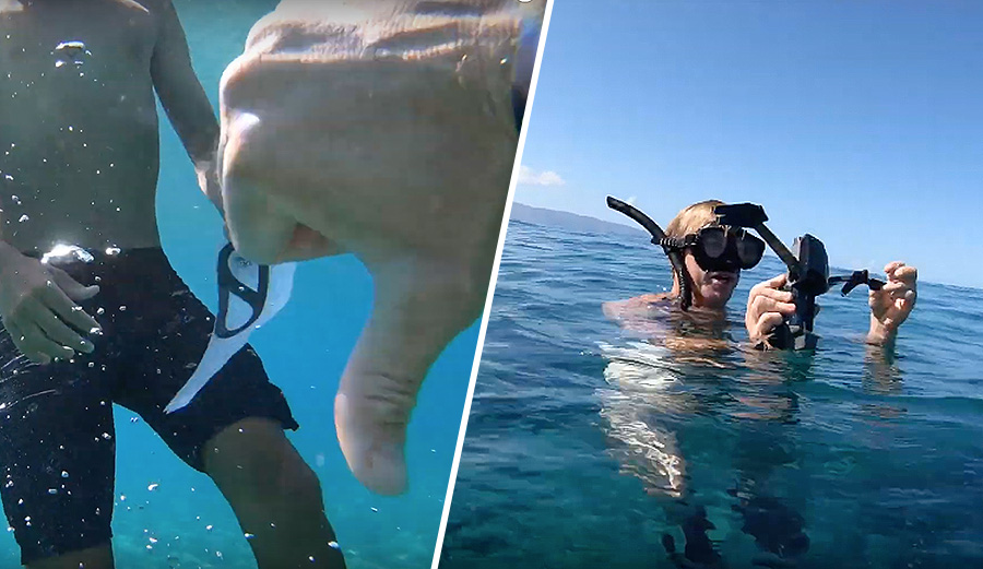 Jamie O'Brien explores Pipe