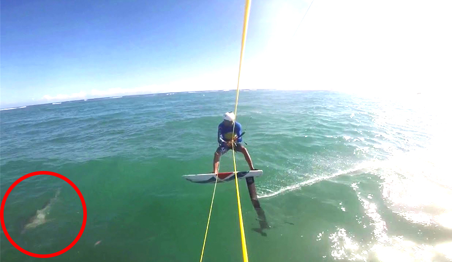 Kite foiler Alex Soto slammed into a shark a few weeks ago in the Dominican Republic. Apparently the shark is alright, but his foil is another story.