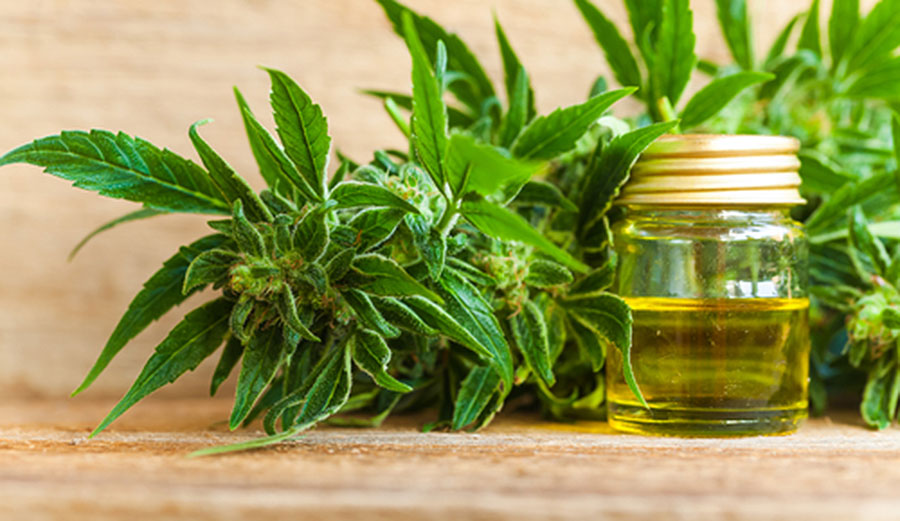 CBD oil