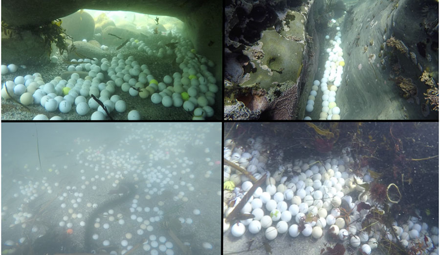 Golf balls in Monterey Bay