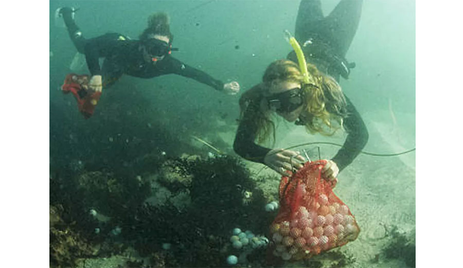 Golf balls on sea floor