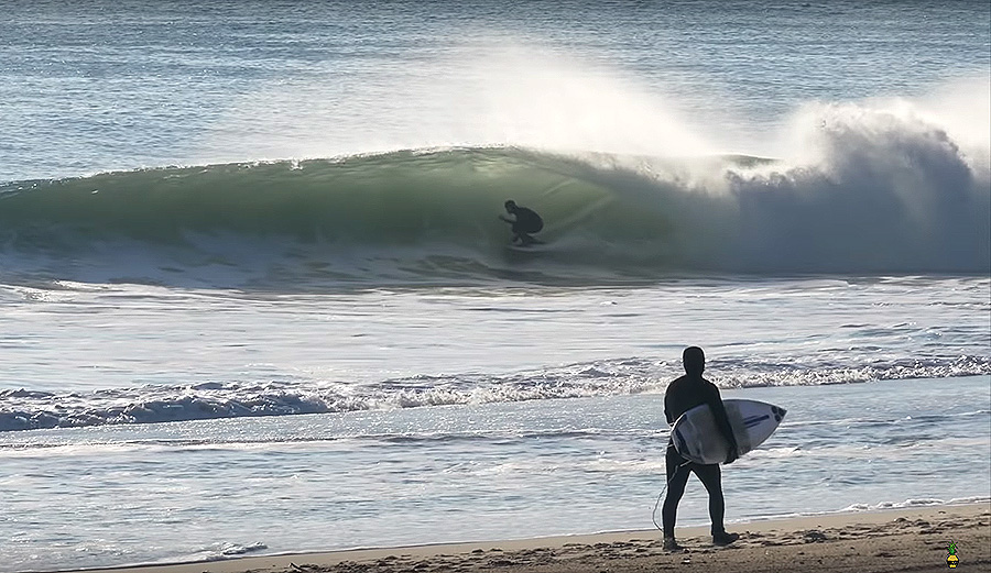 Ben Gravy in Jersey