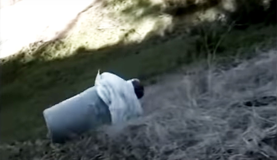 Kelly Slater in Taylor Steel surf film Focus