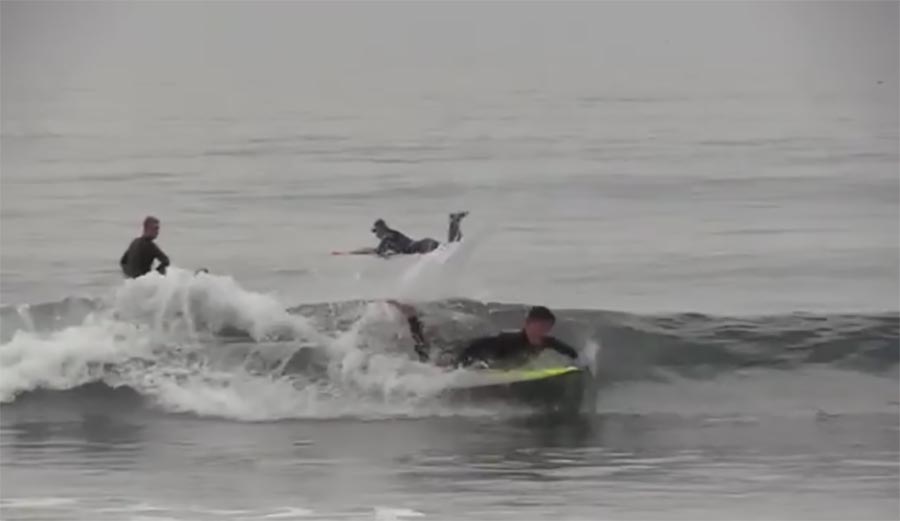 Kalani Robb belly surfs with paddle power