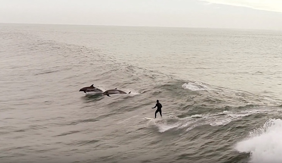 Alden Blair thought he was surfing alone in Ventura when out of nowhere he got burned by a pod of dolphins.