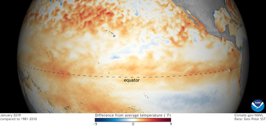 February 2019 Ocean Temps NOAA