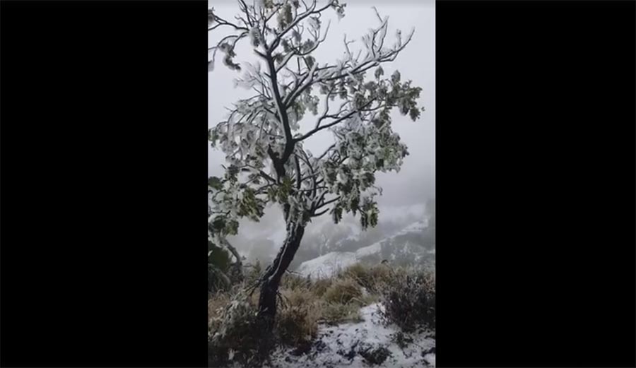 Maui got snow for the first time in years