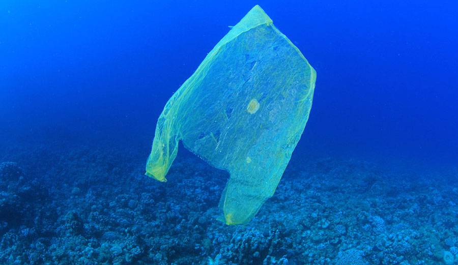 Plastic bag in the ocean