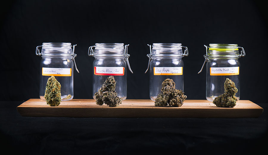 Assorted bud strains.