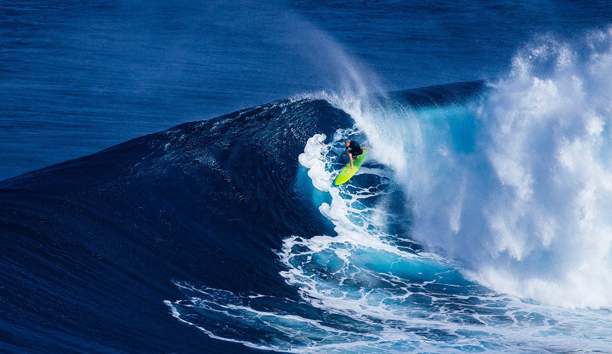 Jaws