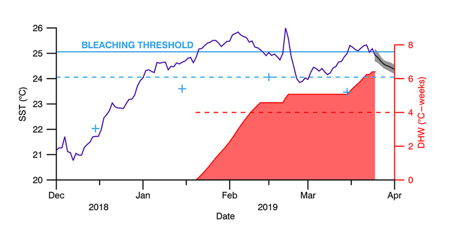 Coral bleaching chart