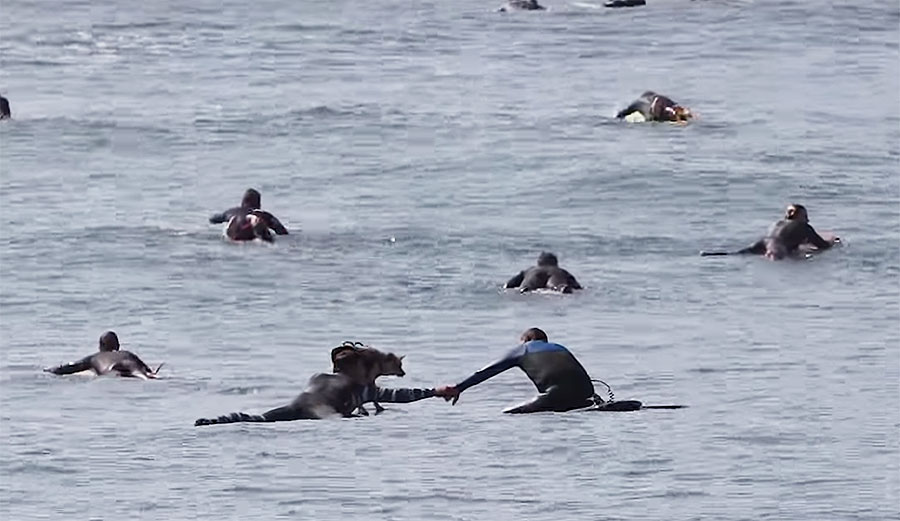 Jeff Clark surfng