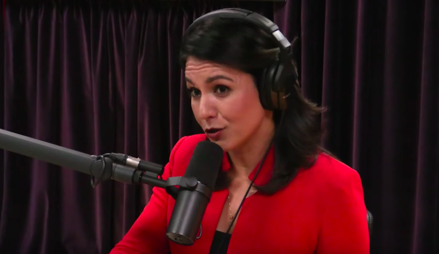 Tulsi Gabbard on the Joe Rogan Experience