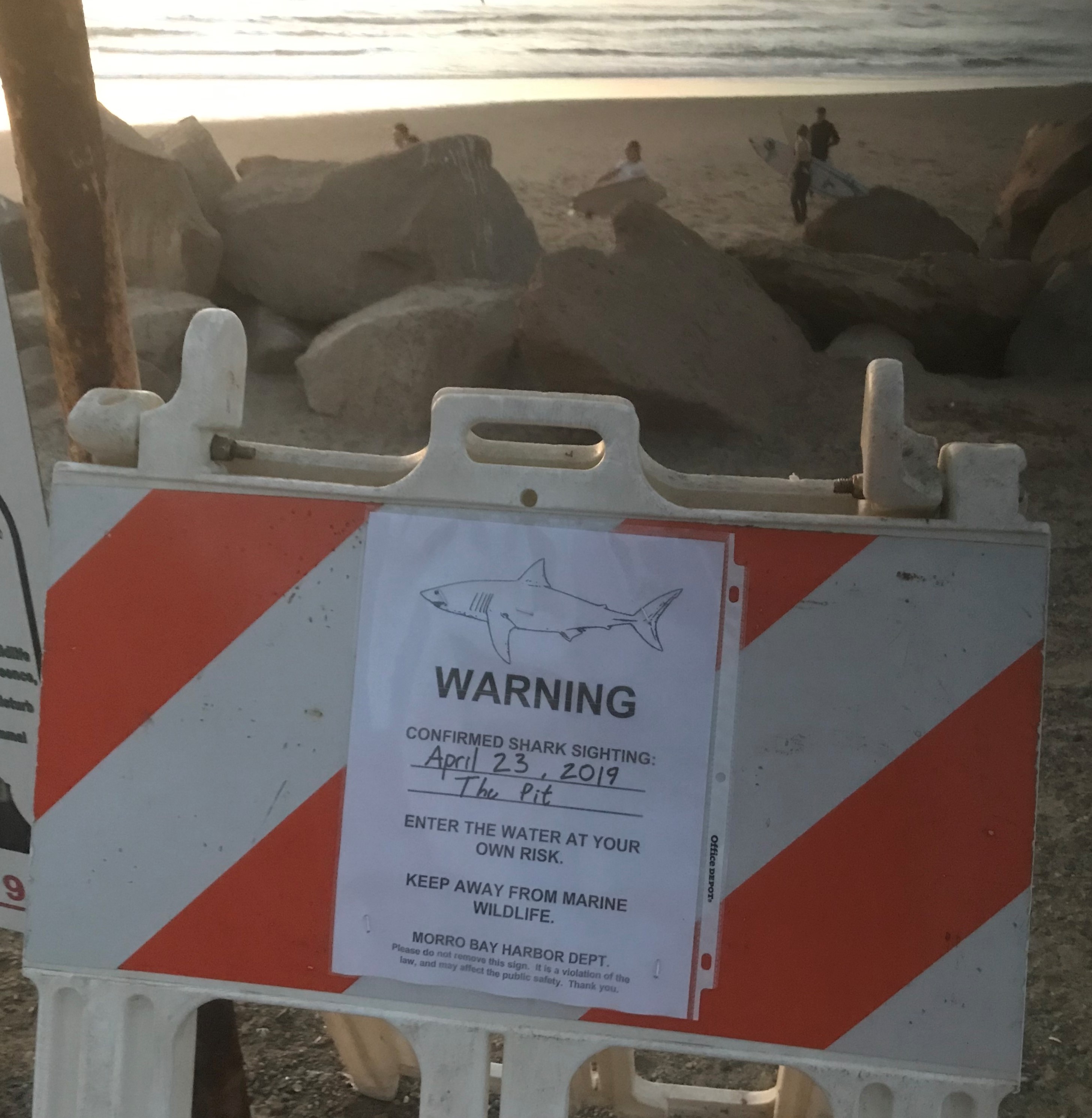 Shark sign