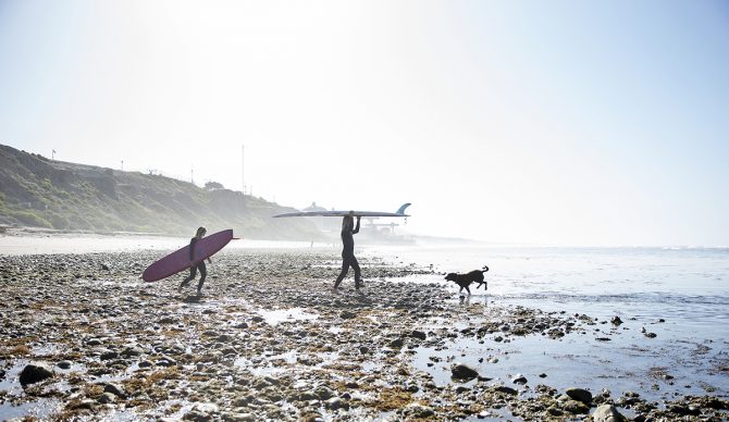 Dog Surf Walking Beach San Clemente Dog Patch