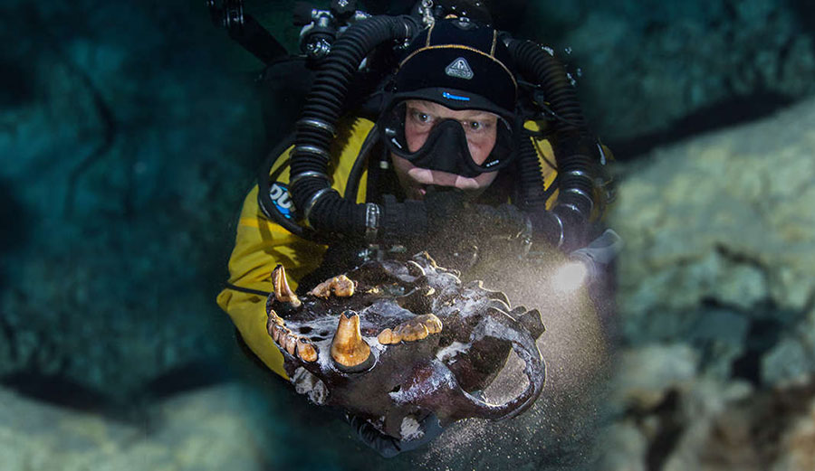Ice Age bear skull in Mexican cave system