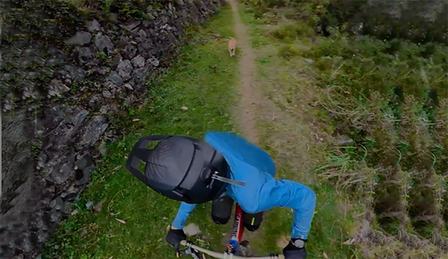 Dog chases mountain biker kilian bron