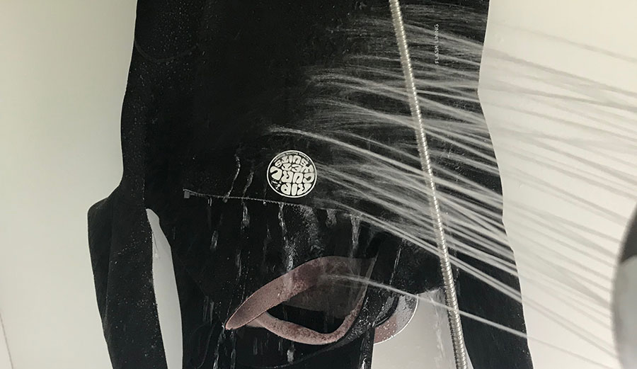 Rinsing wetsuit in shower