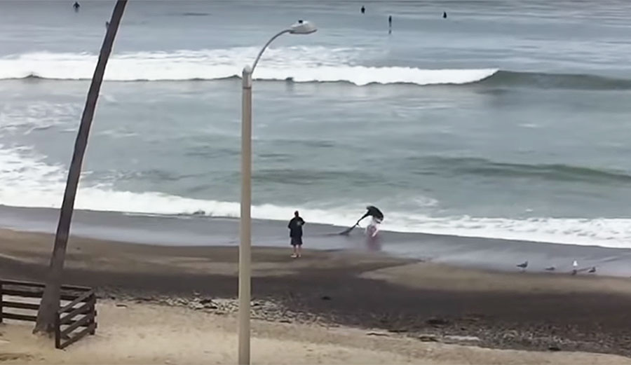 A homeless man rescues a shark at San Clemente surf spot