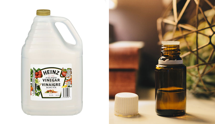 White vinegar and essential oils