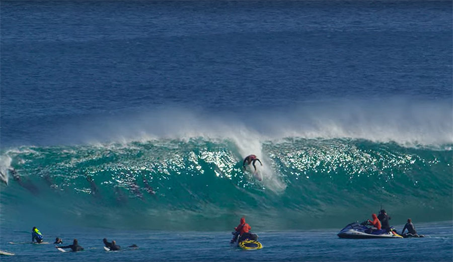 Conner Coffin surfing with dolphins