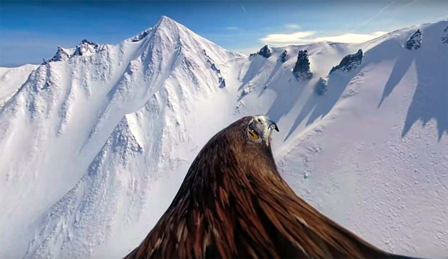 Here Are Go Pro's Top 10 Clips From This Winter
