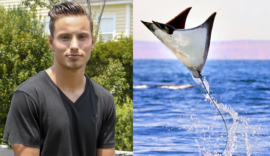 This Man Was on a Jet Ski When He Got Knocked Out by a Flying Stingray and Nearly Drowned
