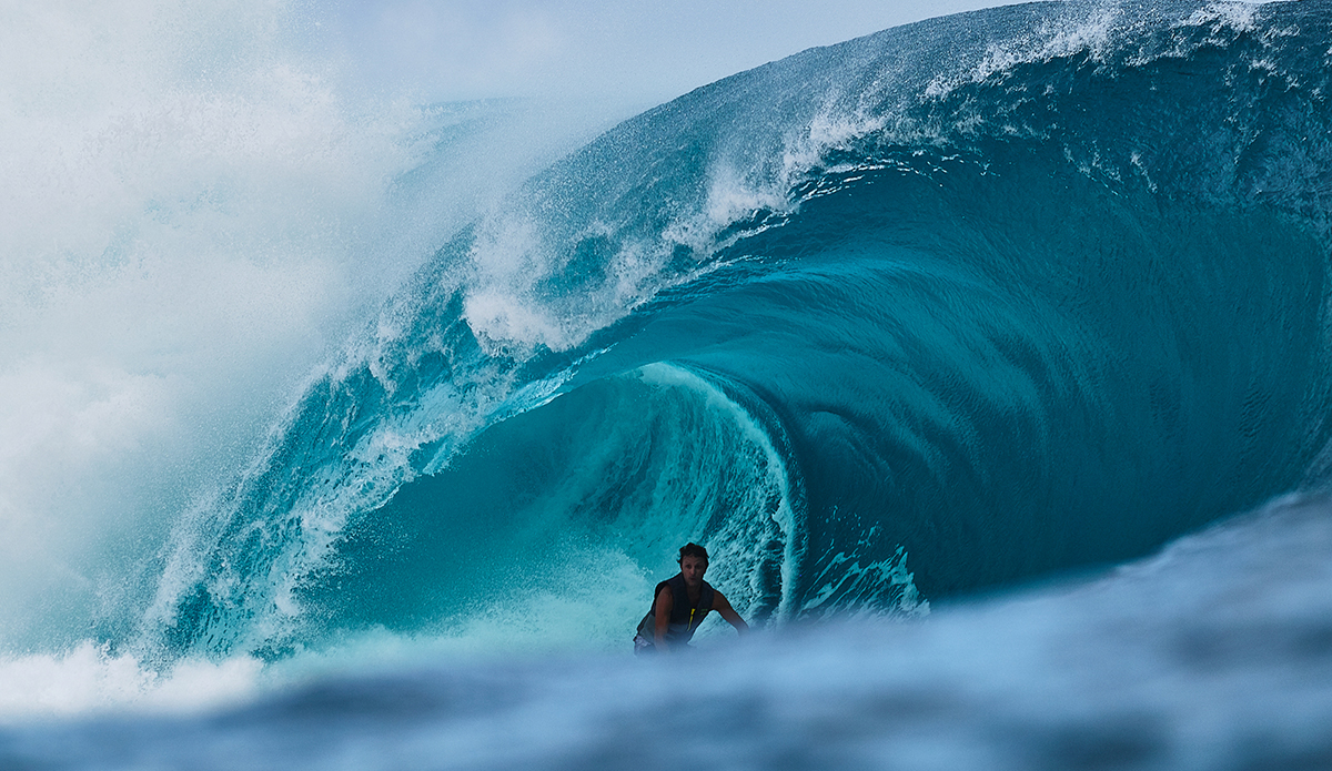 Jonathan Gubbins Chopes