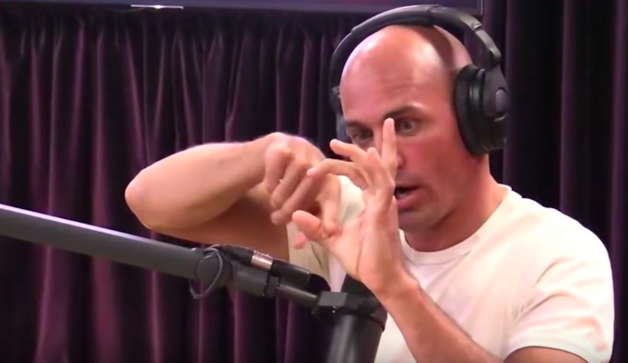 Kelly Slater on Joe Rogan.