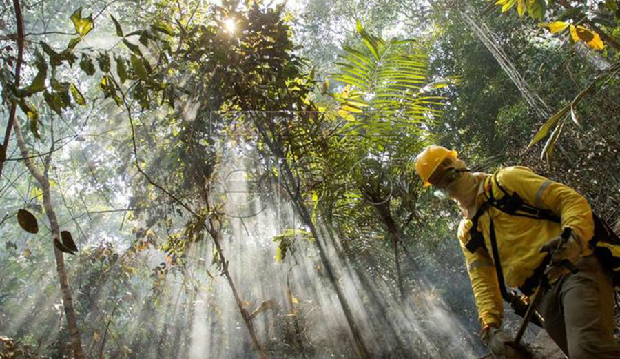 A fireman work to extinguish a fire at a forest near Porto Velho, Brazil