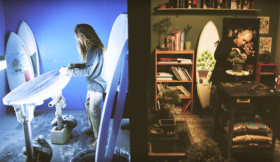 Rob Machado bonsai tree
