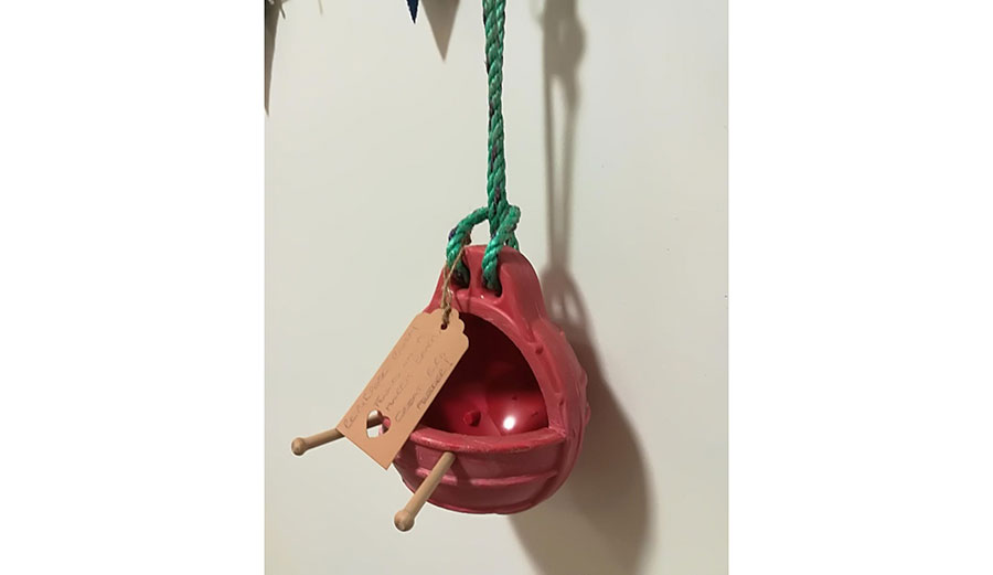 bird feeder
