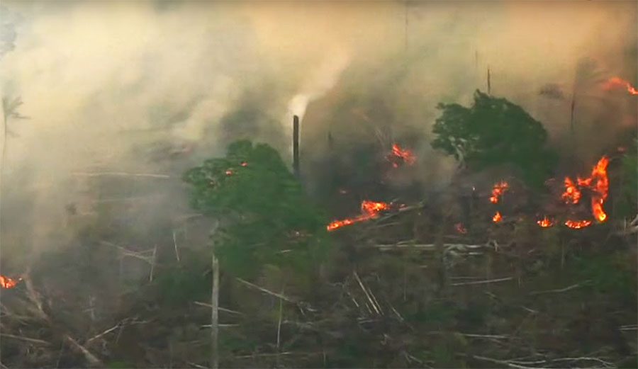 Amazon rainforest on fire