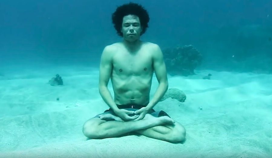 Jaimal Yogis