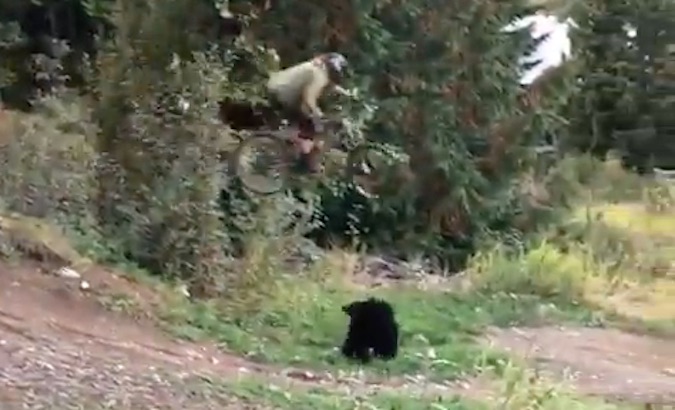 This Mountain Biker Gapped a Bear in Whistler