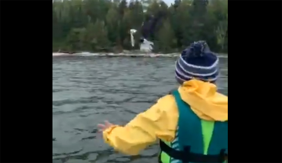 You've Got To See This Kid Toss a Perfect Fish Softball to a Bald Eagle