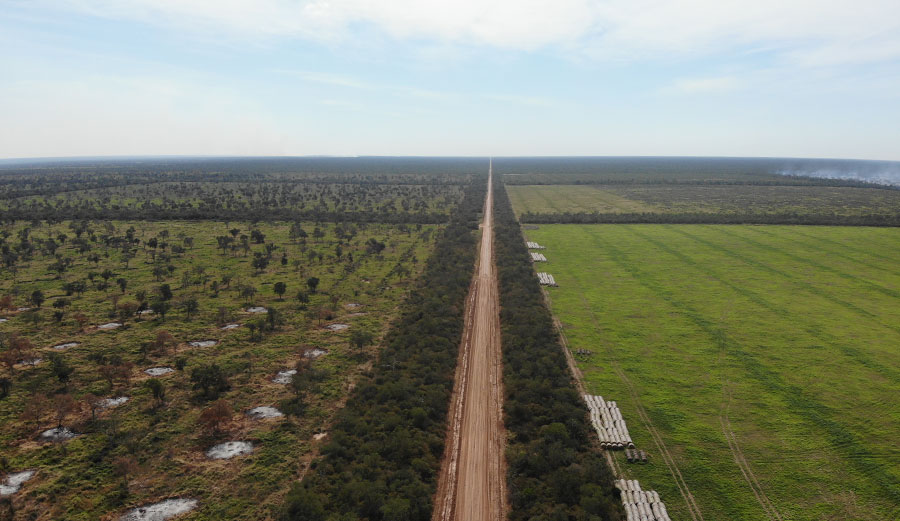 The Paraguayan Chaco,