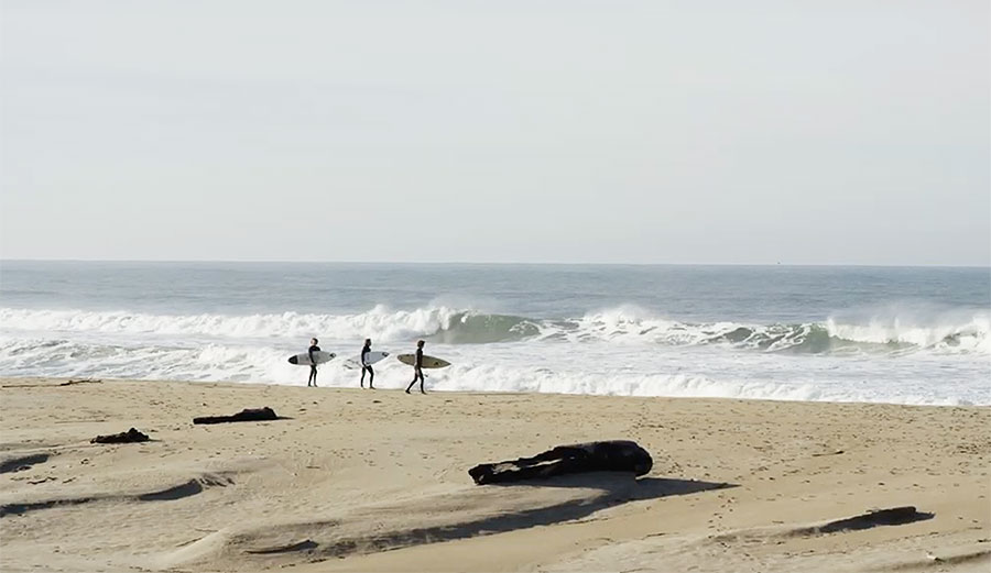 Ward Coffey Surfboard shaping