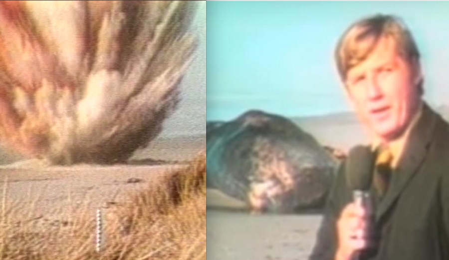 49 Years Ago Oregon Officials Used Dynamite to Blow Up a Whale on a Florence Beach