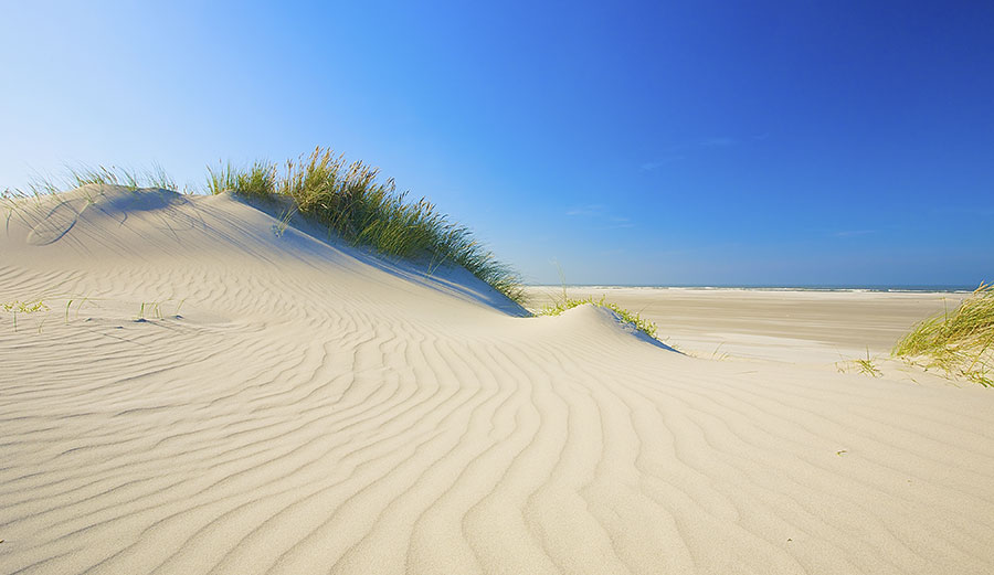 Beach sand