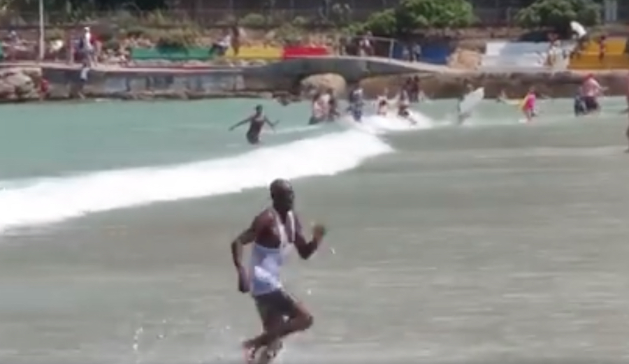 This Is What it Looks Like When a Shark Clears the Water at a Beach